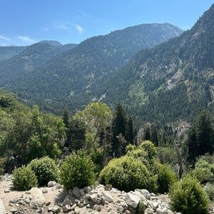 Meet your Posher, Chen